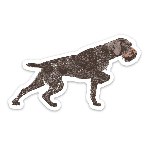 German-Wirehaired-Pointer-Sticker A vinyl German Wirehaired Pointer sticker.