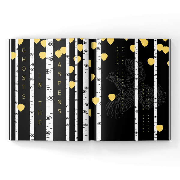 Ghost-bird-magazine Aspens and ruffed grouse in a magazine