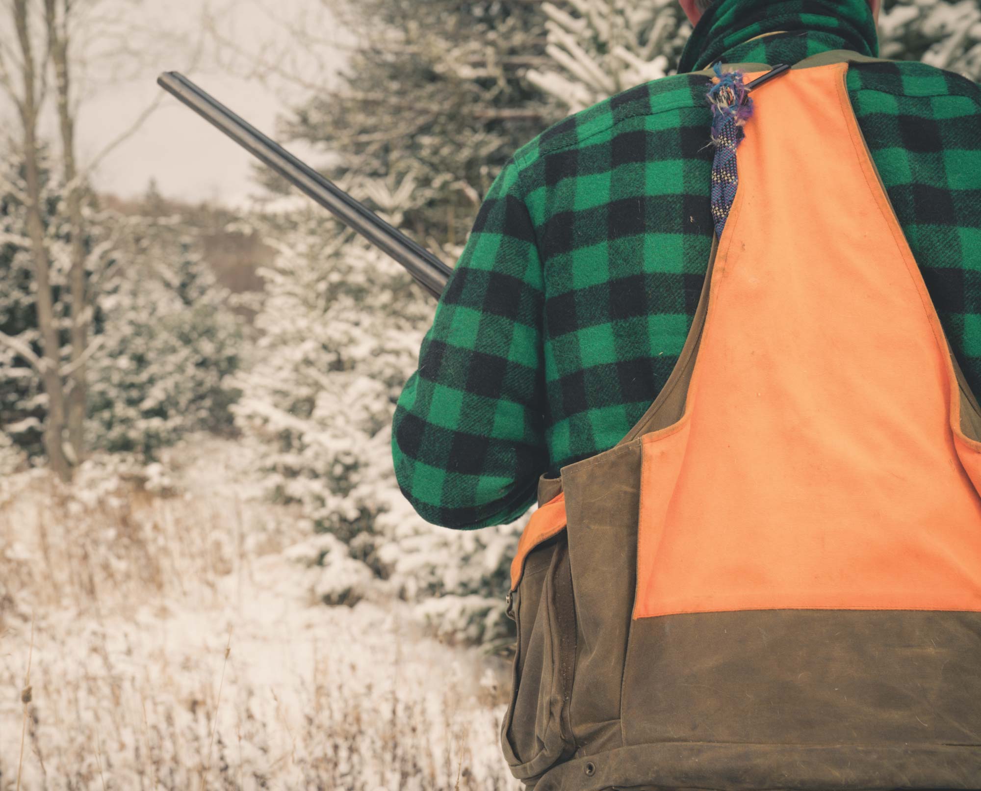 A grouse hunter walks through the snow while hunting.
