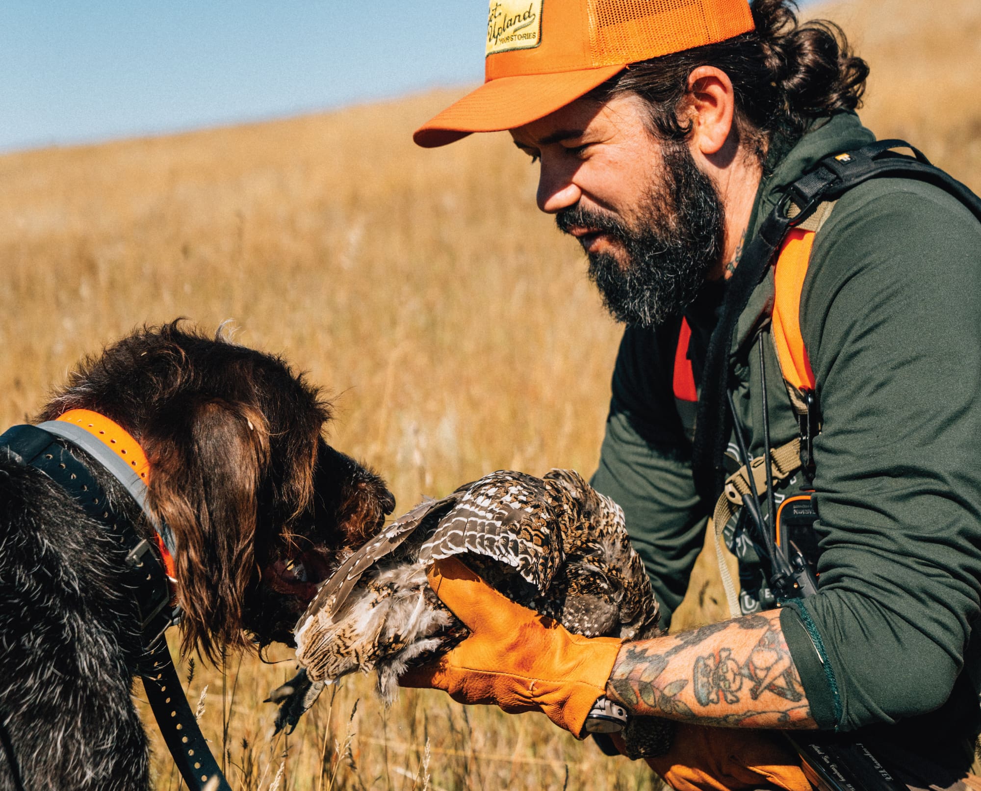 A sharptail grouse hunter with his bird dog