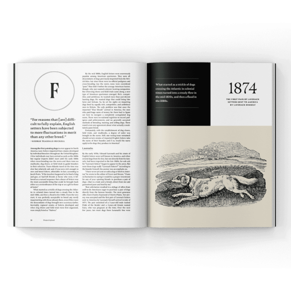 Gun-Dog-Magazine gun dogs in a magazine