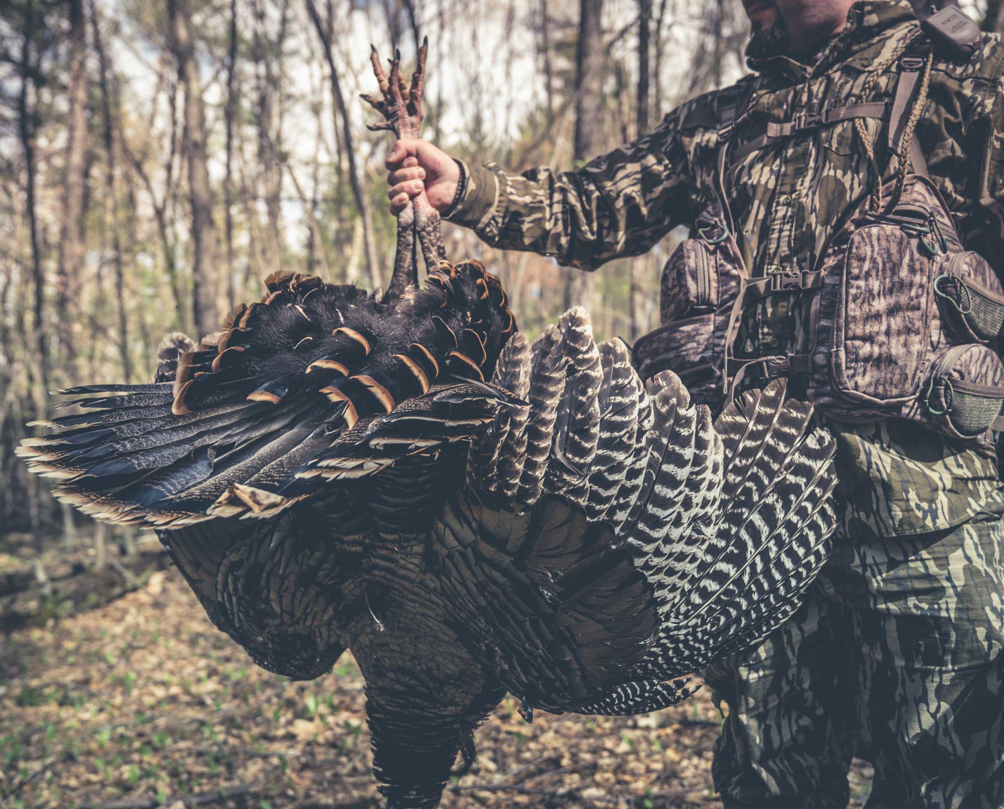 A turkey hunter holds up a turkey during a fall hunt