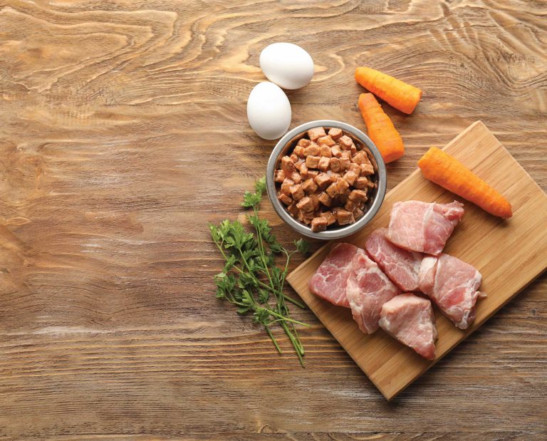 an assortment of sport dog food ingredients.