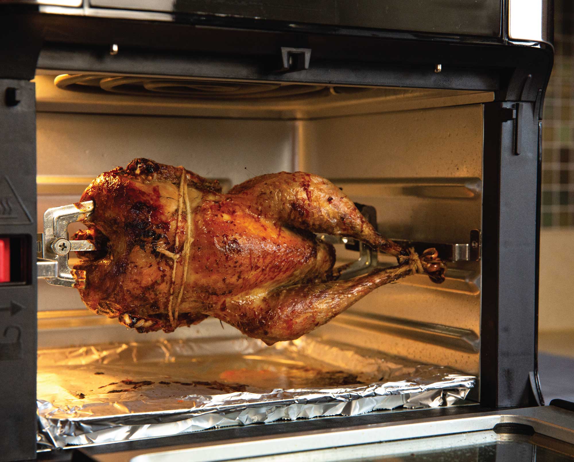 A pheasant in an air fryer.