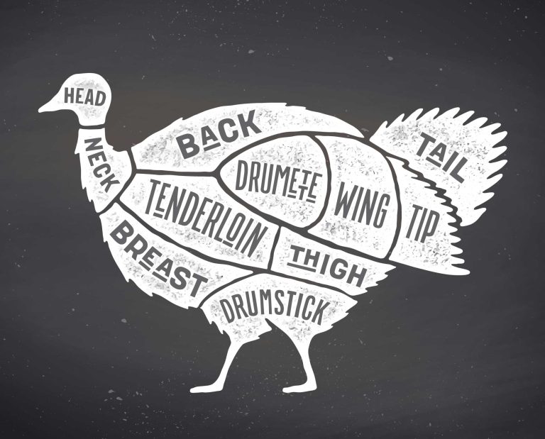 a chart on butchering a wild turkey