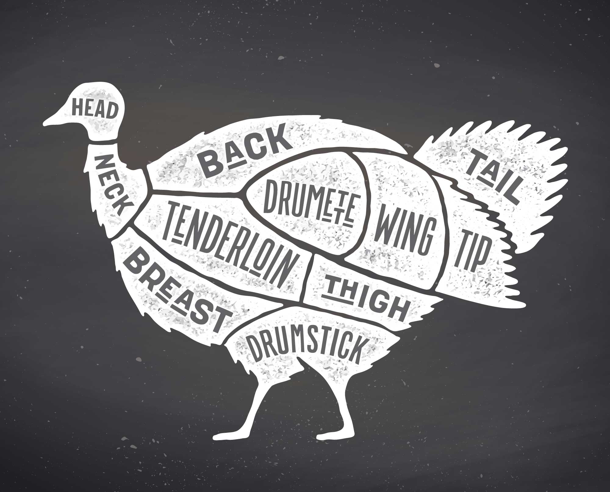 a chart on butchering a wild turkey