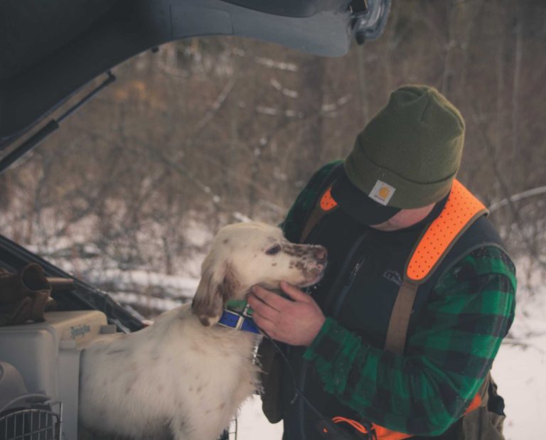 a bird hunter caring for his dog in the snow