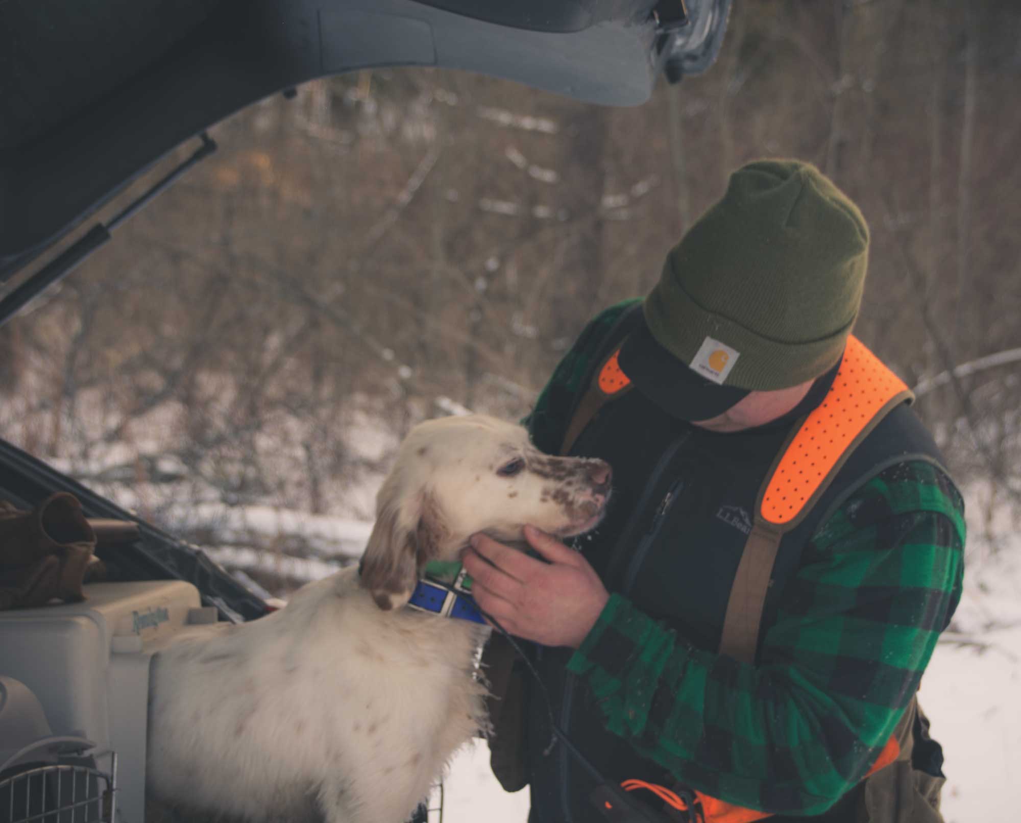 a bird hunter caring for his dog in the snow