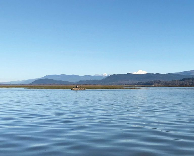 A hunter in a camouflaged kayak paddles in front of a mountain backdrop