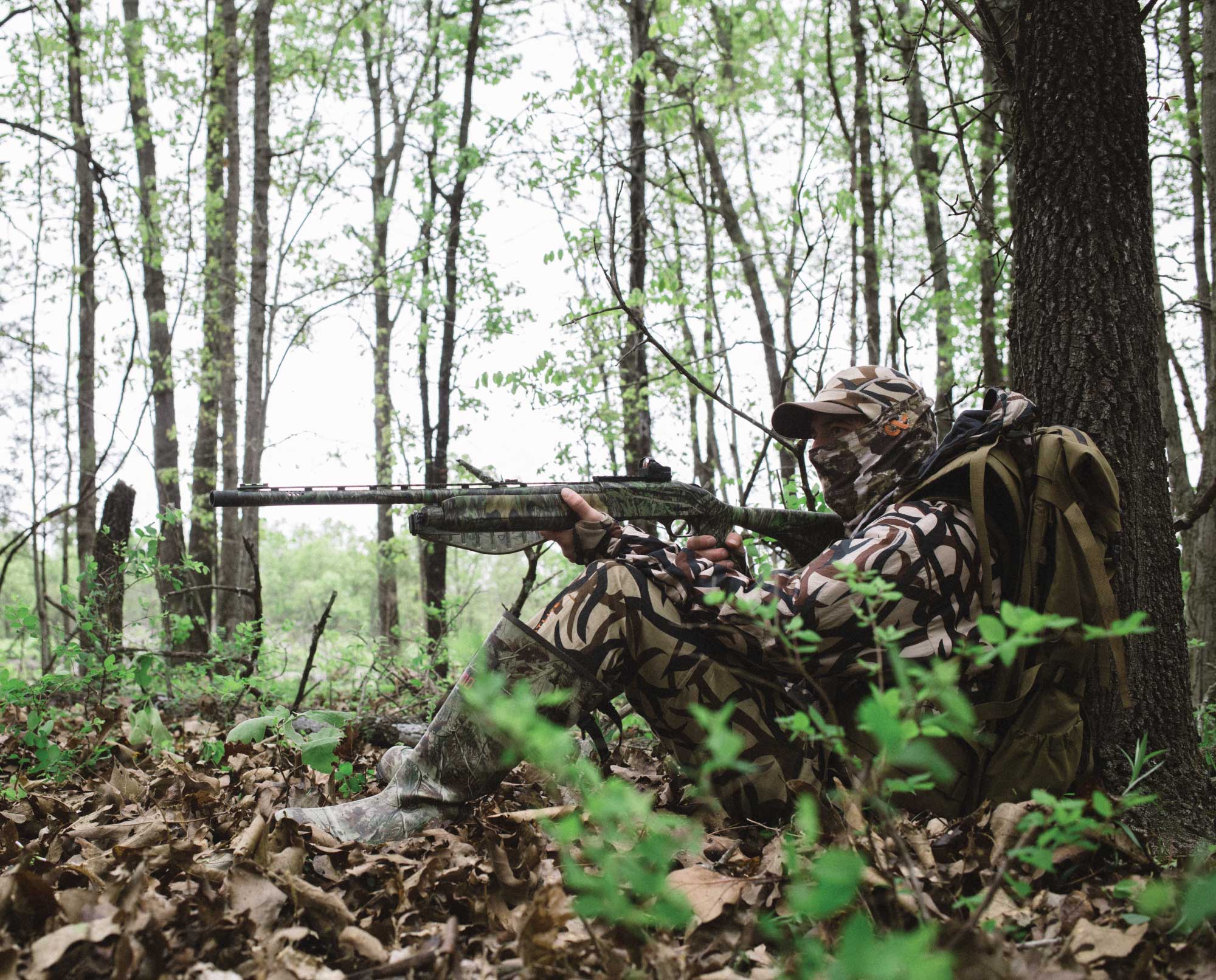 A turkey hunter about to take a shot with a gun that has been patterned.