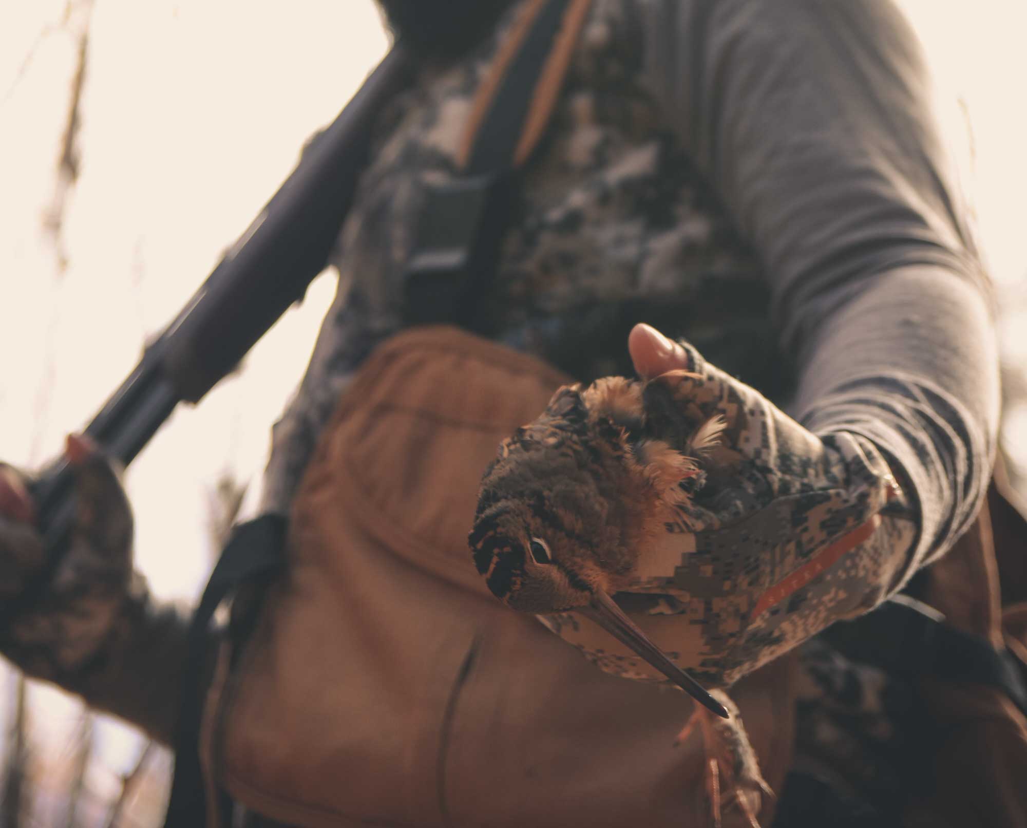 A hunter recovers a woodcock without a bird dog.