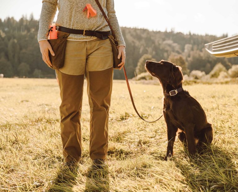 Teaching a dog to heel