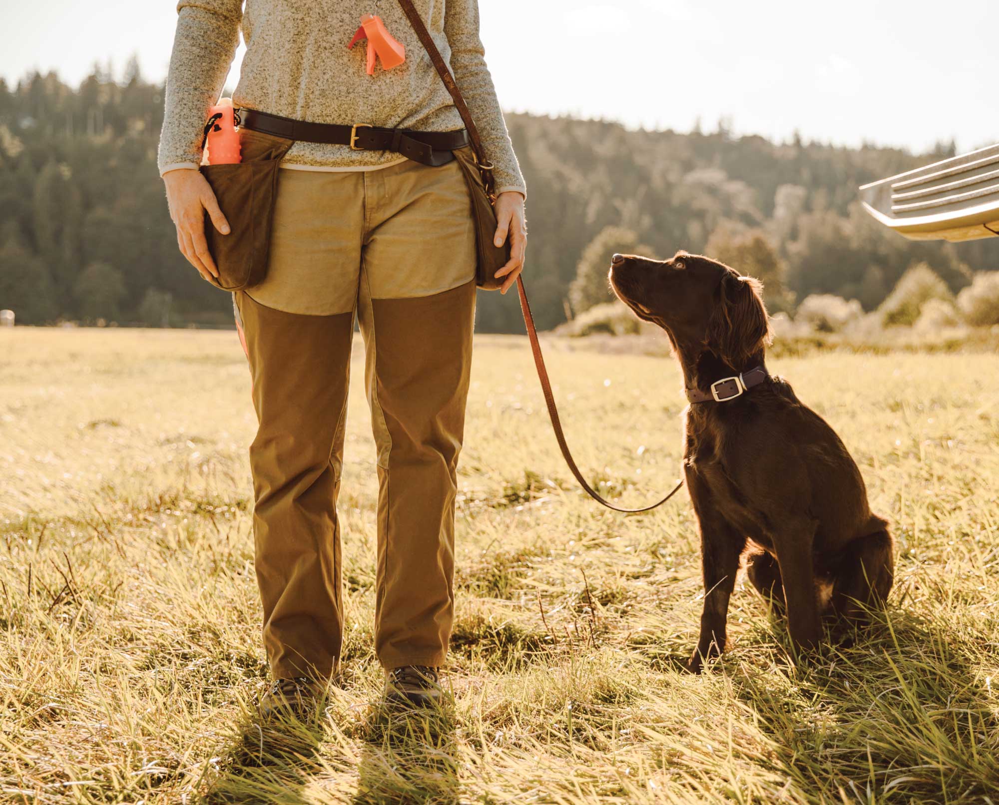 Teaching a dog to heel