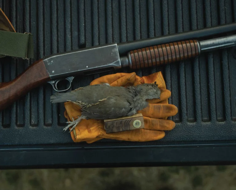 A quail call used during a California quail hunt