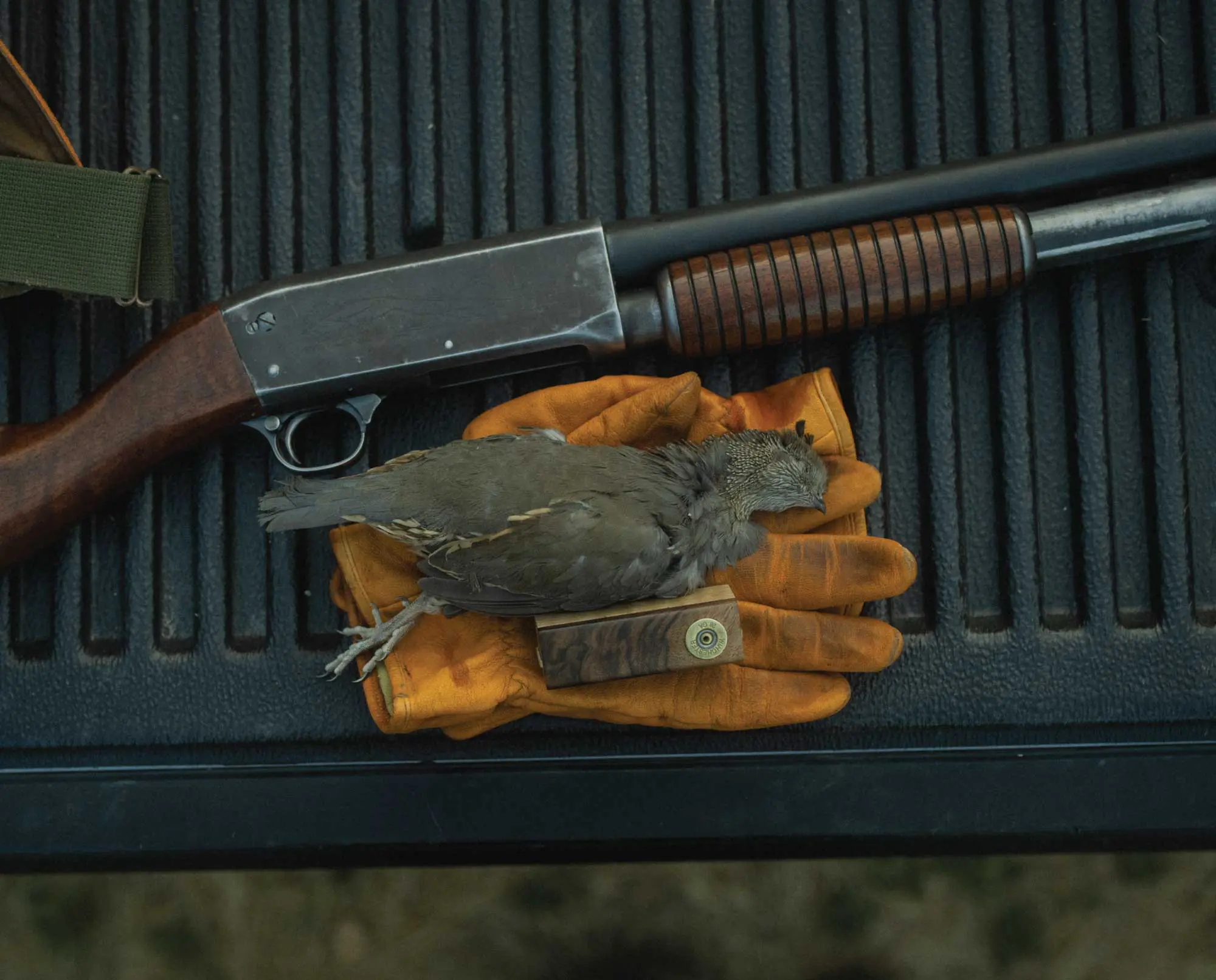 A quail call used during a California quail hunt