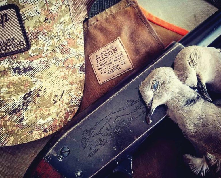 Two Eurasian Collared Doves after a hunt in the summer