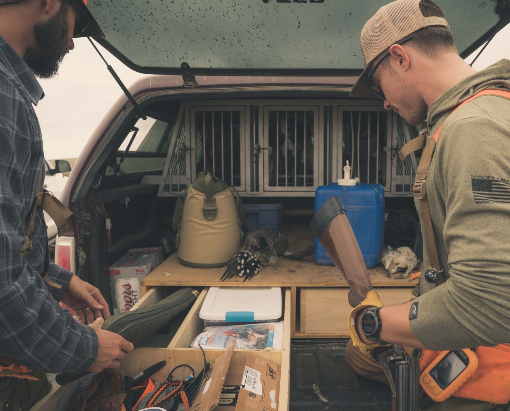 The bed of a pickup truck packed for upland bird hunting