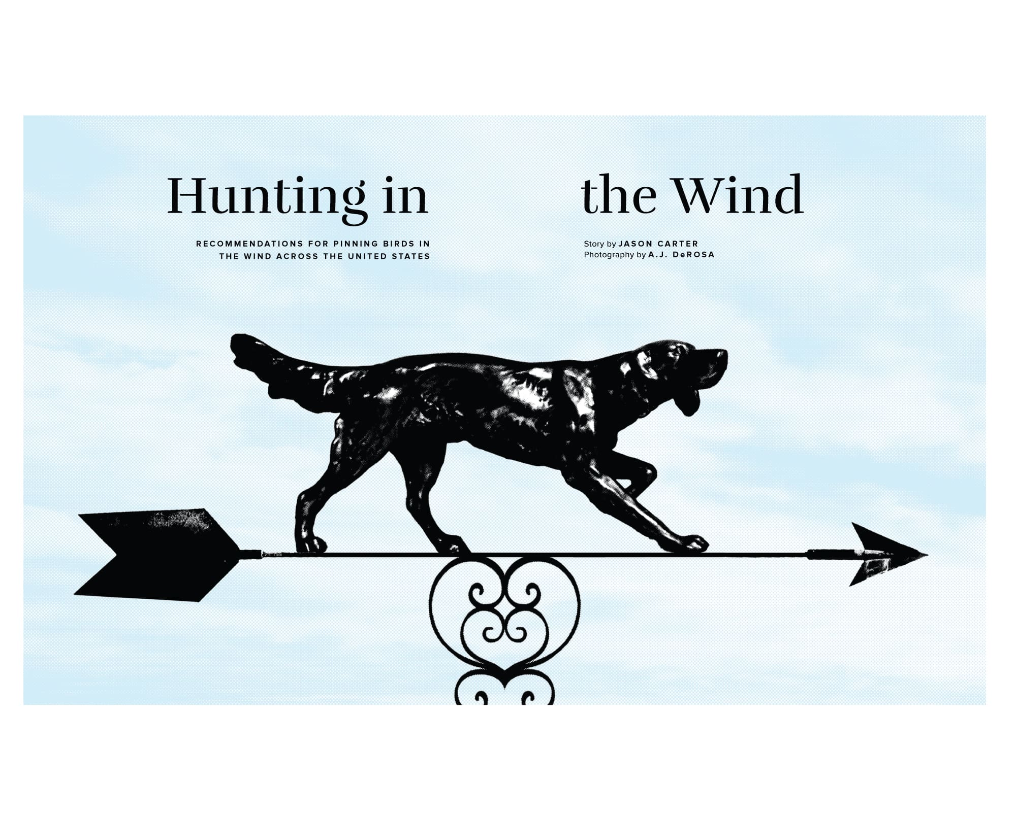 A dog points into the wind