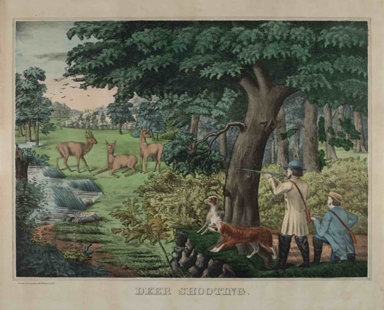 Deer Shooting historic hunting dog artwork