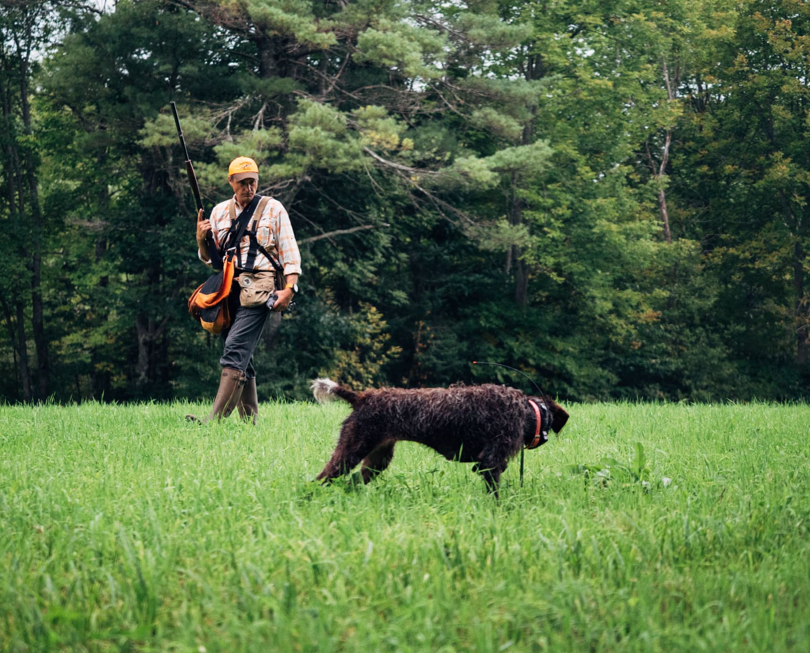 A dog trainer reads a dogs body language for better training results