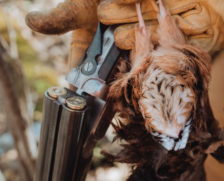 A bird hunting holding an AYA shotgun and an American woodcock.