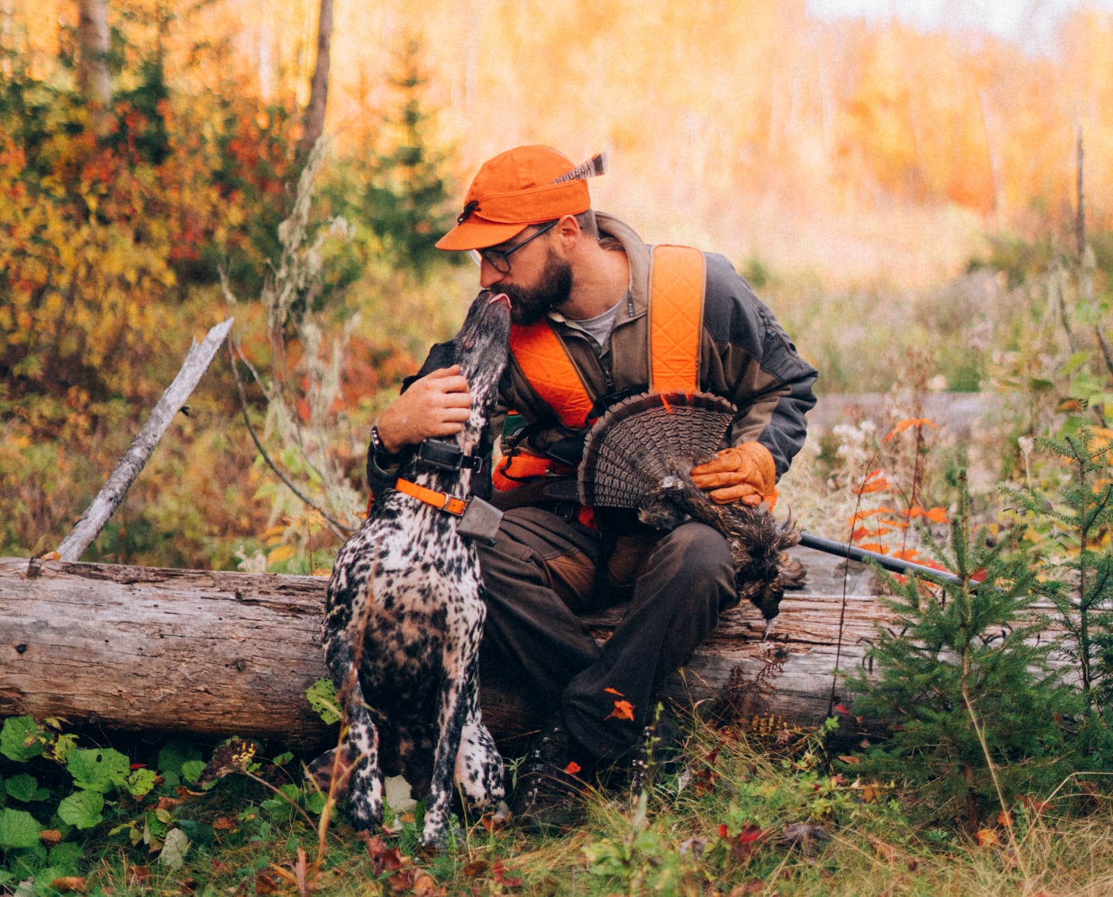 A bird hunter in Maine with his pointing dog while ruffed grouse hunting.