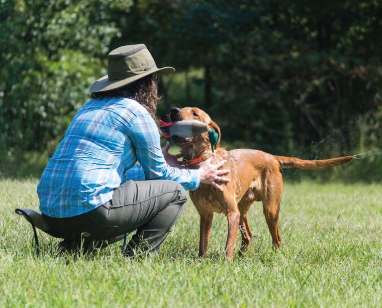 Lee Lee Milner training a bird dog.