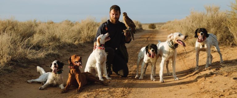 A falconer with his bird dogs and Goshawk