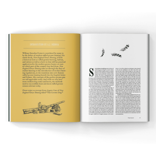 New-England-Grouse-Shooting-in-a-Magazine New England grouse Shooting in a Magazine article