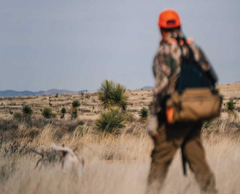 A bird hunter with his pointing dog hunting quail in the New Mexico desert
