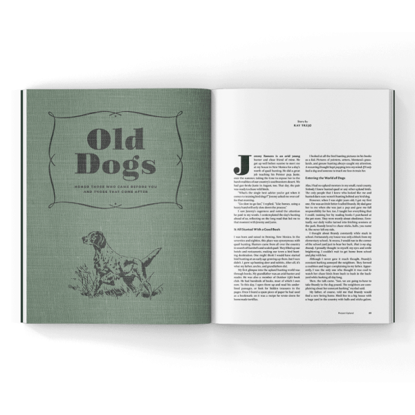 Old-dogs-magazine Old dogs in a magazine