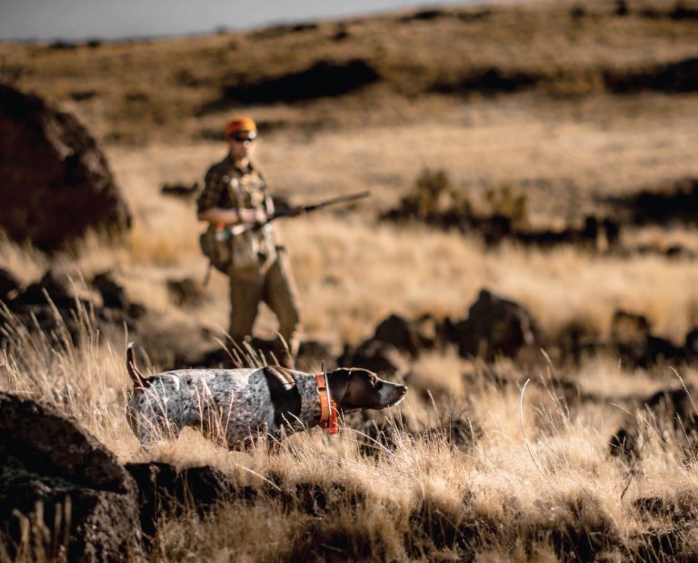 A hunter walks up on a dog on point while upland bird hunting Oregon for chukar