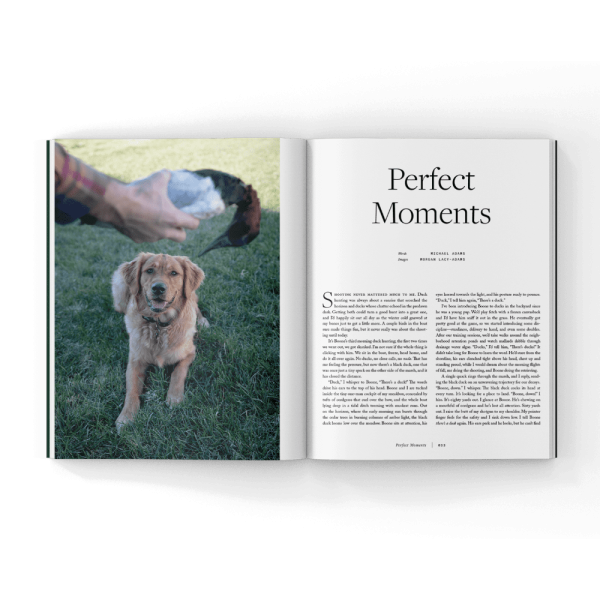 Perefect-dog-stories- Perefect-dog-stories-
