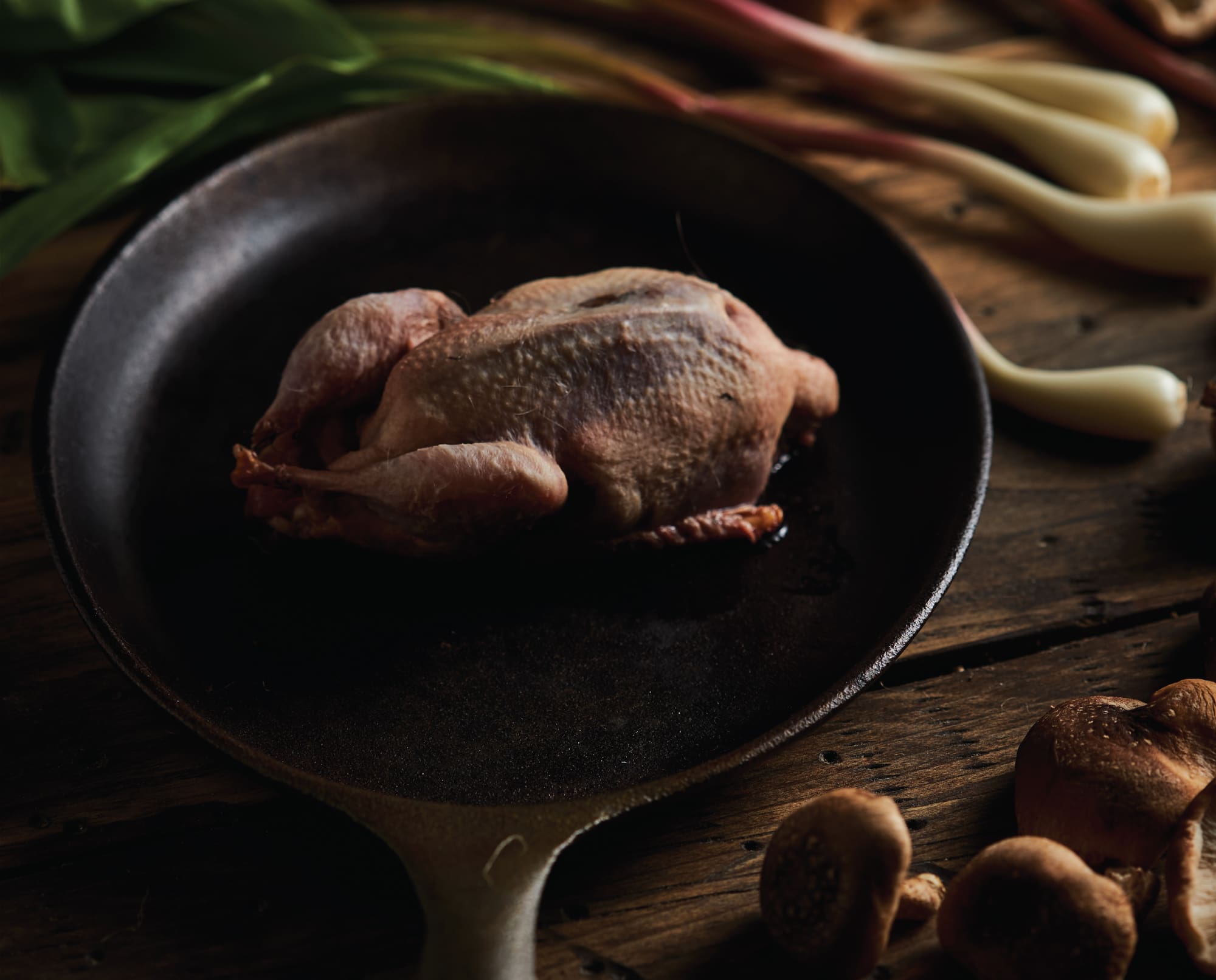 A perfectly prepped and plucked woodcock for roasting