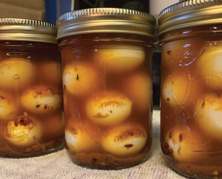 Pickled quail eggs after using the recipe