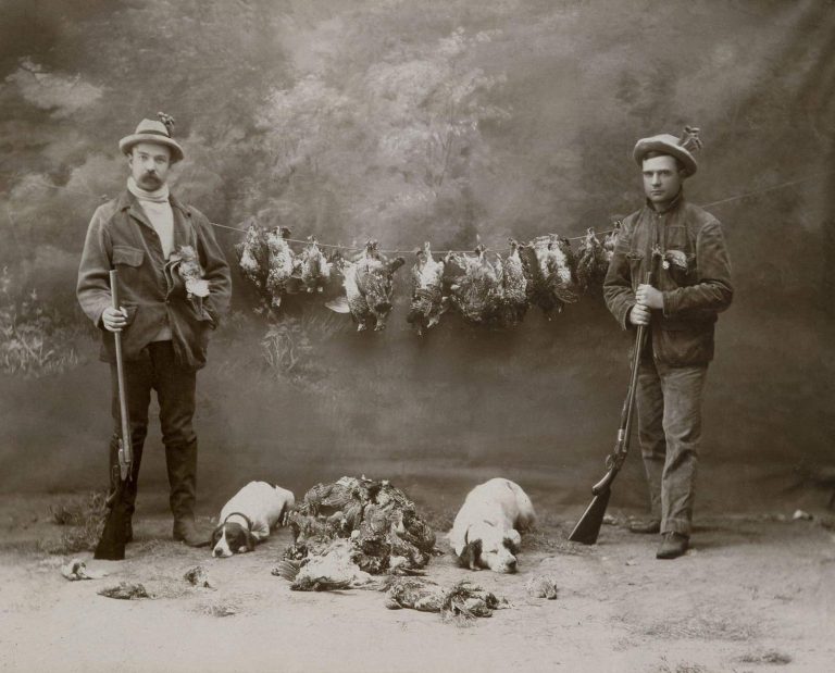 Two American hunters, one with a Pointer and the other with an English Setter.