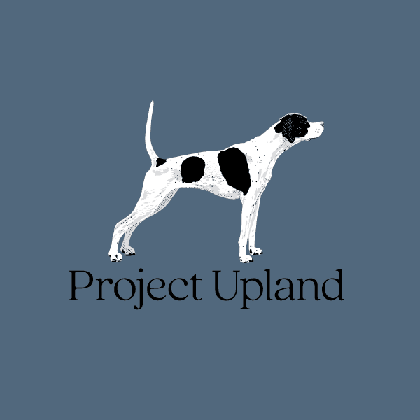 Pointer-Shirt-Design-Close-Up Pointer-Shirt-Design-Close-Up