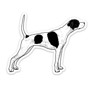 A pointer dog sticker with American breeding influence.