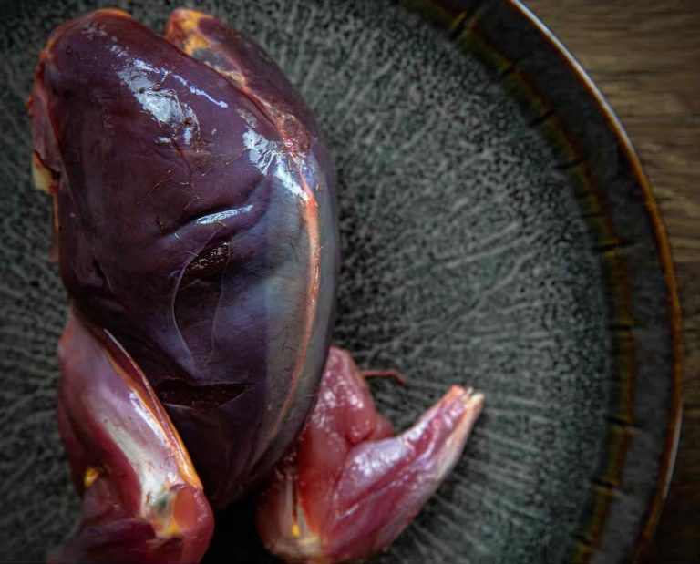 Raw meat from a greater prairie chicken on a plate
