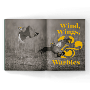Prairie Chicken Magazine