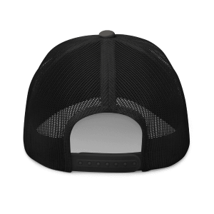 Project Upland snap back hat.