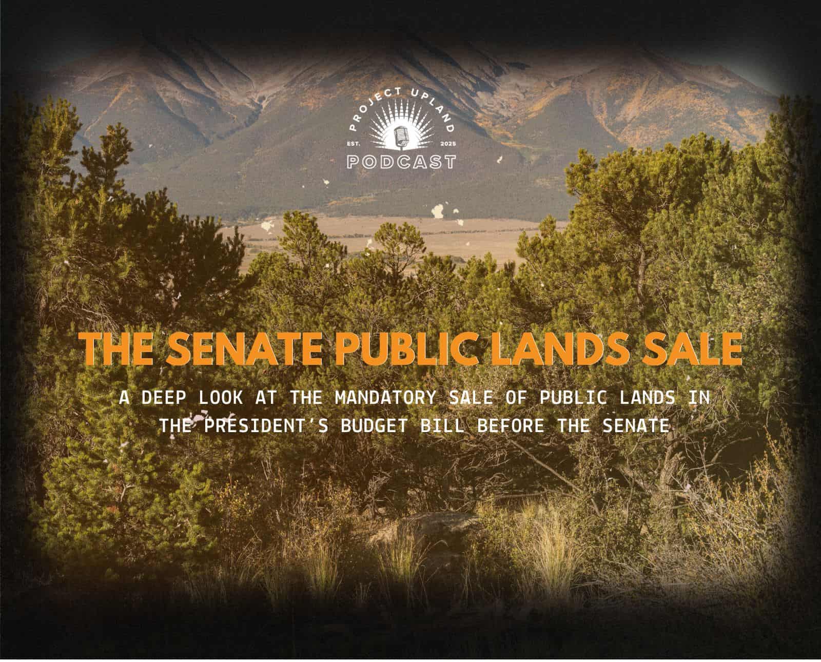 BLM Public lands in the West.