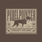 Pudelpointer-designs-close-up
