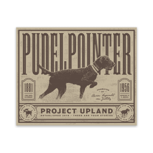 vinyl pudelpointer stocker