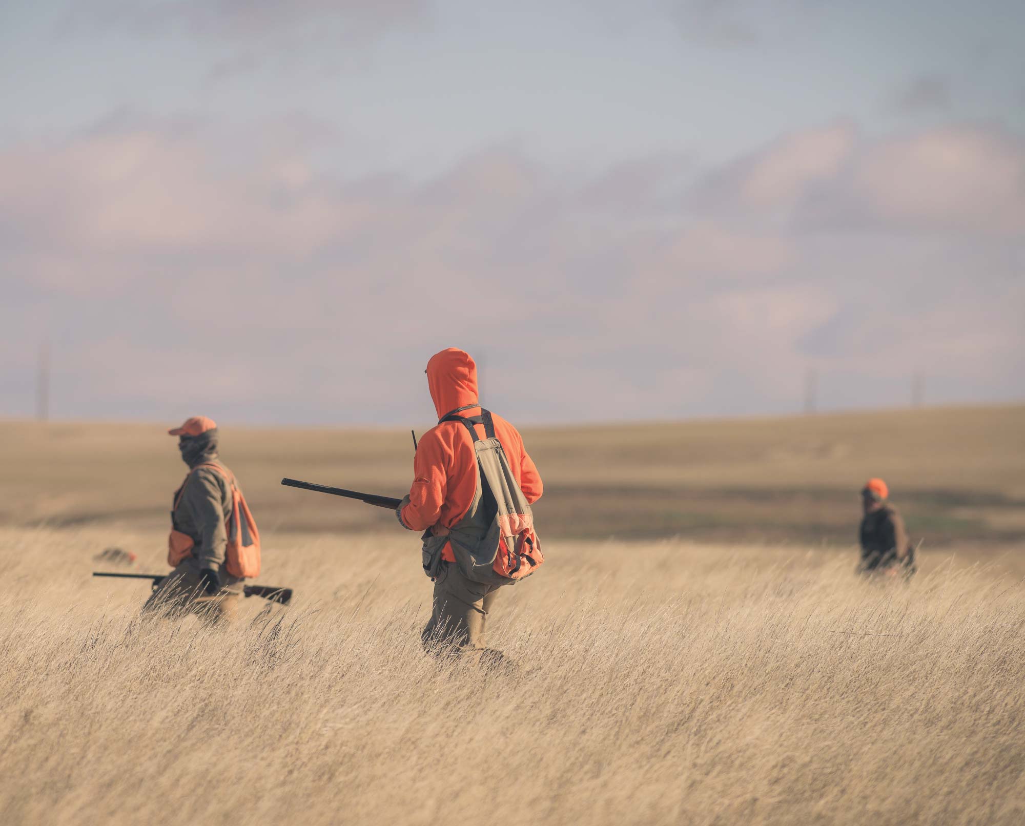 A group of pheasant hunters push through a field toward blockers.