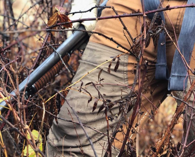 A bird hunter wearing Carhartt Relaxed Field Pants