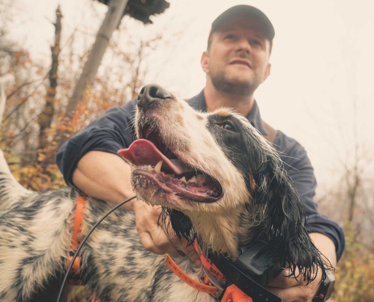 a bird hunter with his English setter hunting woodcock in Vermont
