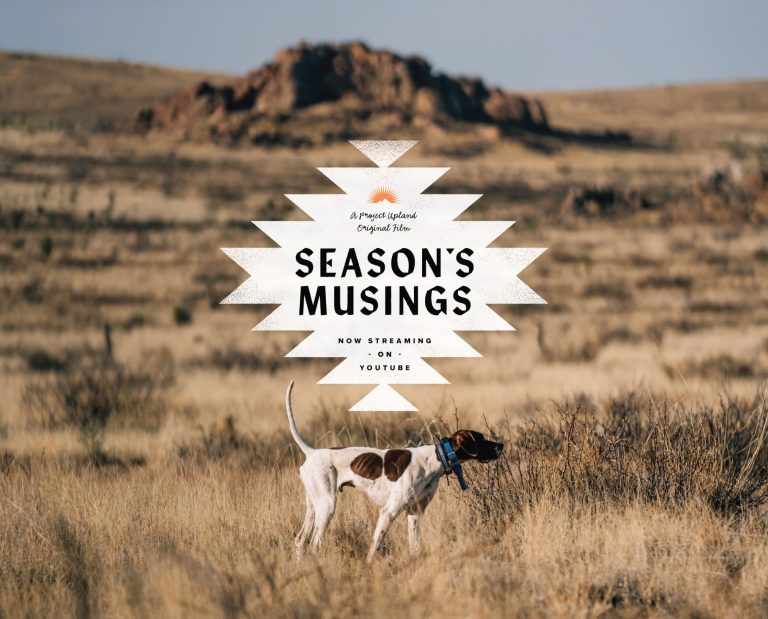 Bird Hunting in New Mexico for Scaled Quail with a dog