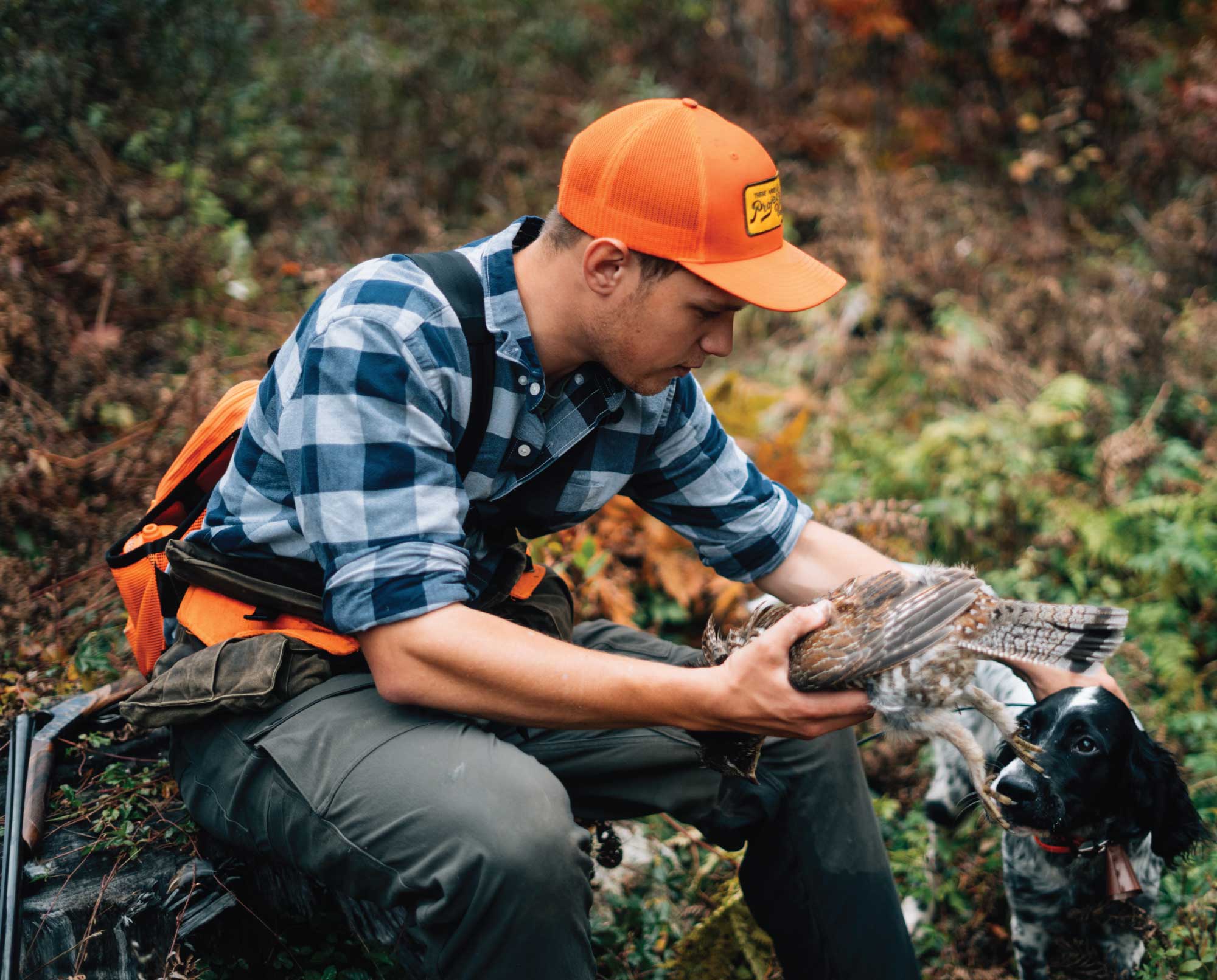 A new hunter shoots his dogs first ruffed grouse