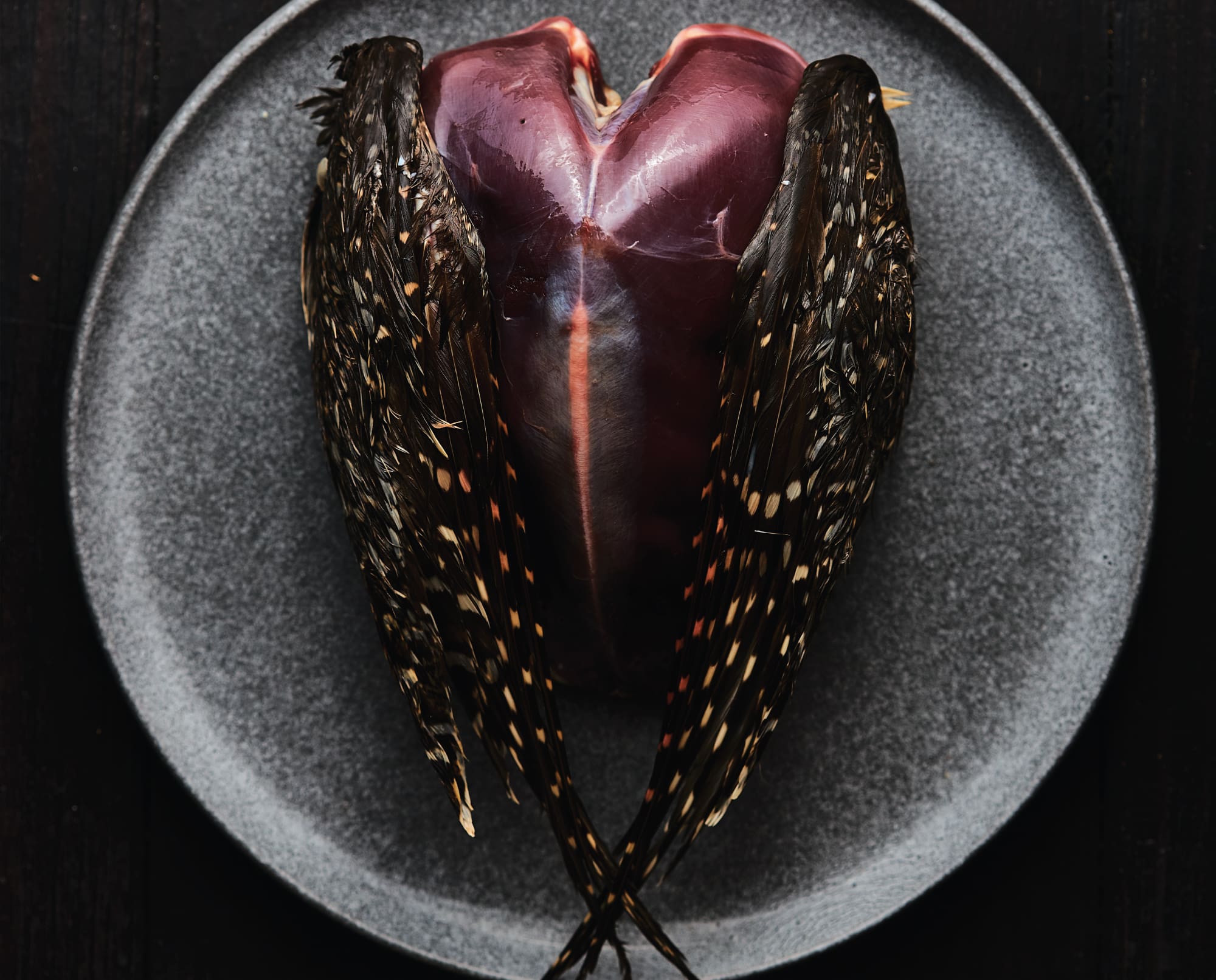 A sharp-tailed grouse ready to be cooked